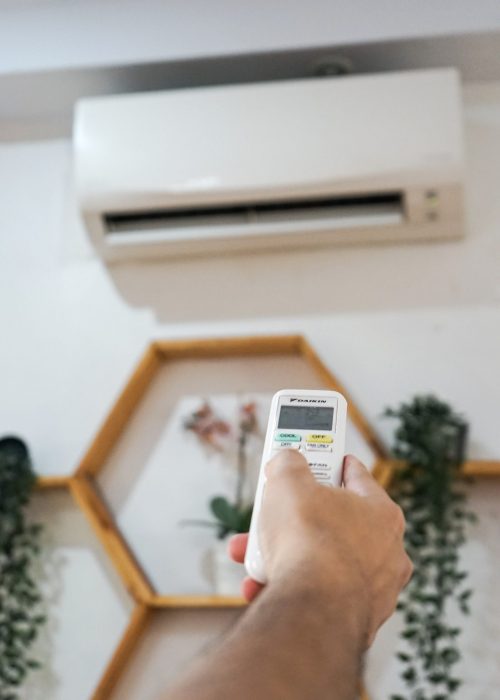 mitra maju sejati